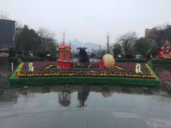 大菜园广场_20210209094352.jpg