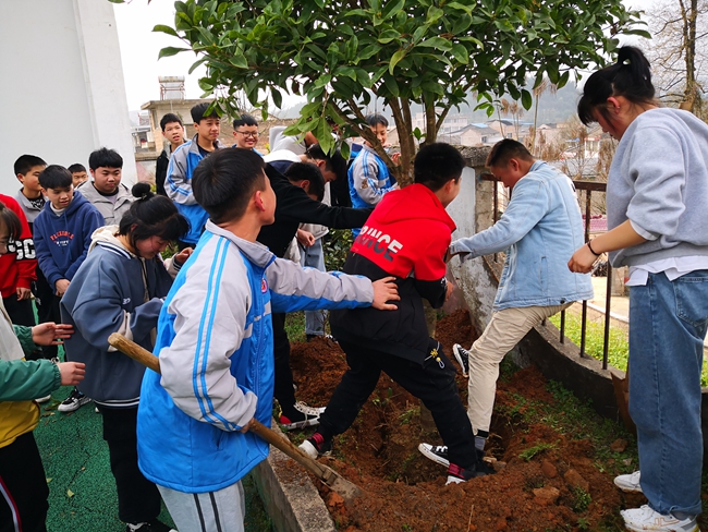 羊场中学组织团员开展植树活动.jpg