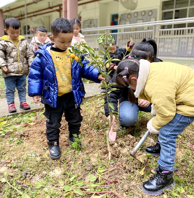 金堡幼儿园中班幼儿在教师的带领下开展植树活动.jpg