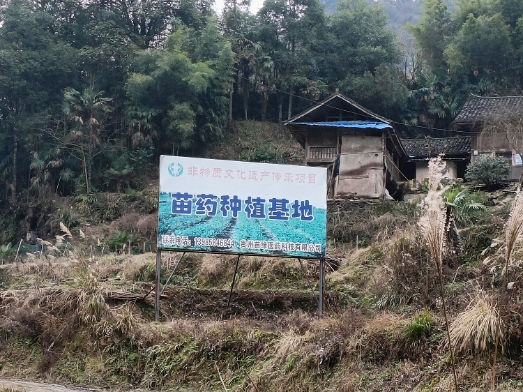 《镇远县药王谷建起了“苗医药非遗楼”》